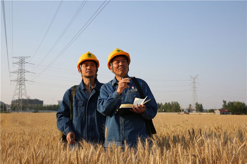 曾经，许启金（右）带着徒弟廖志斌（左）在电塔下，靠徒步目视巡线。李荡摄